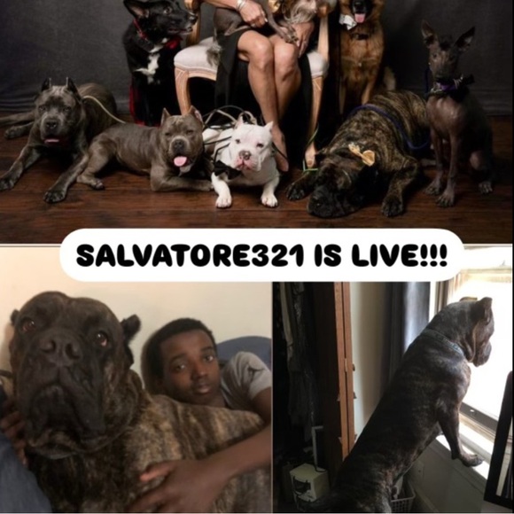 CVNTYVISAGE IS LIVE ✨ - Picture 2 of 8